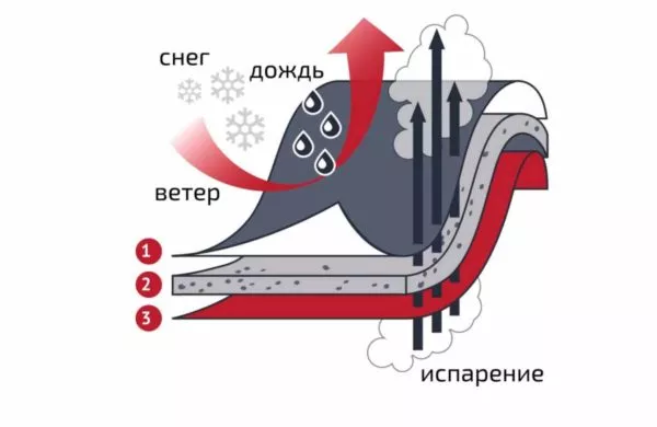 Мембранная одежда – что это такое и как её выбрать